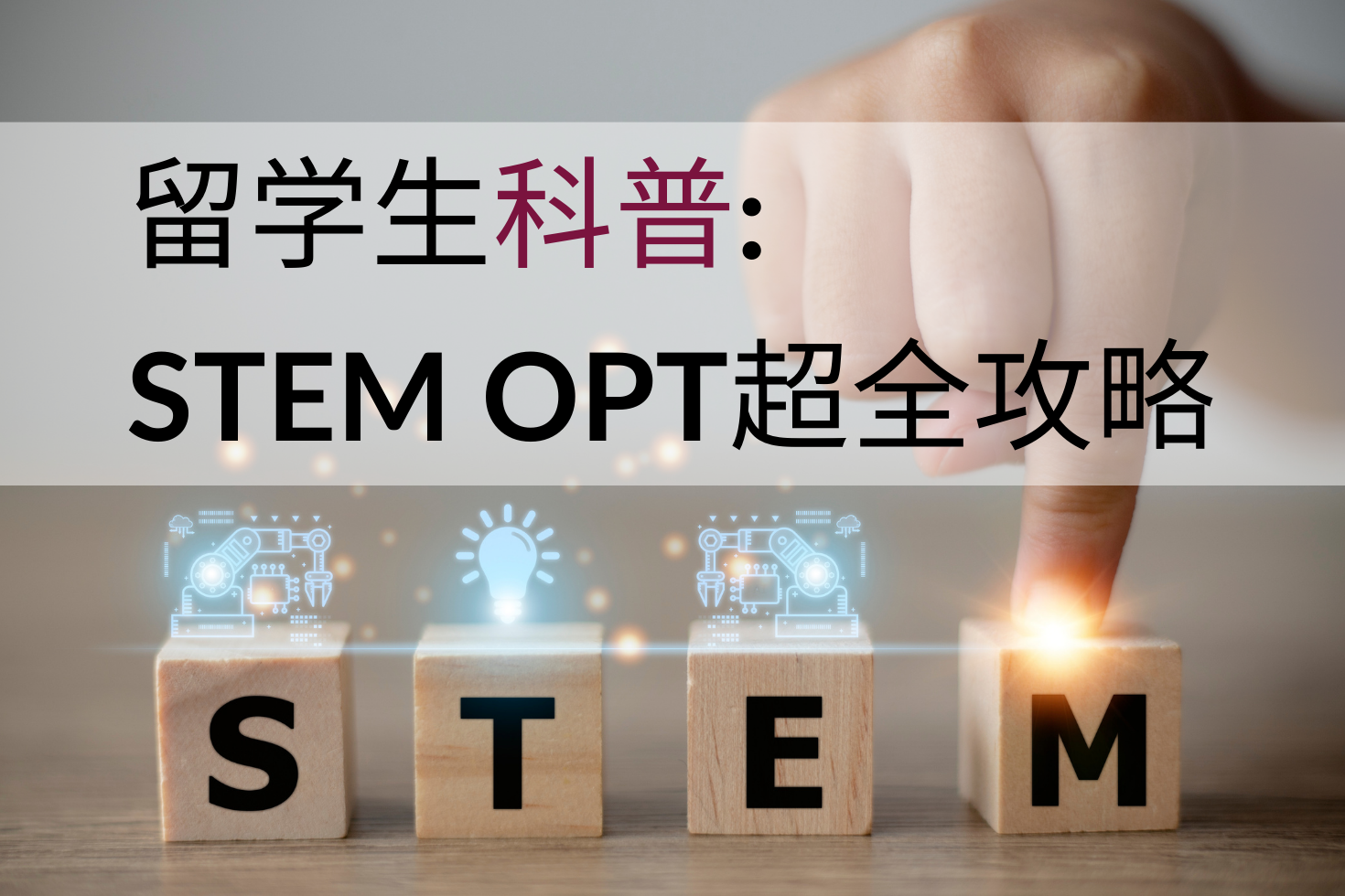 STEM OPT 